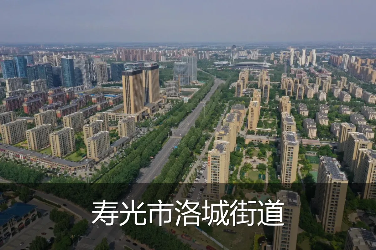 寿光市洛城街道