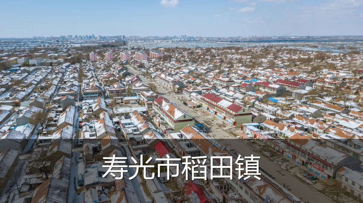 寿光市稻田镇