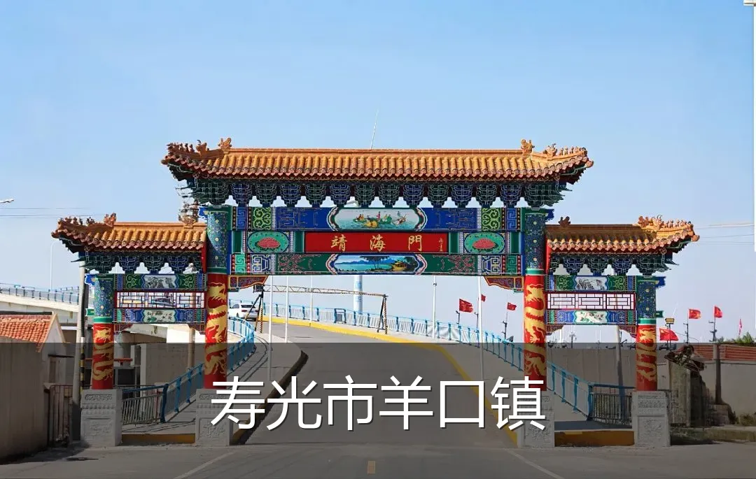 寿光市羊口镇
