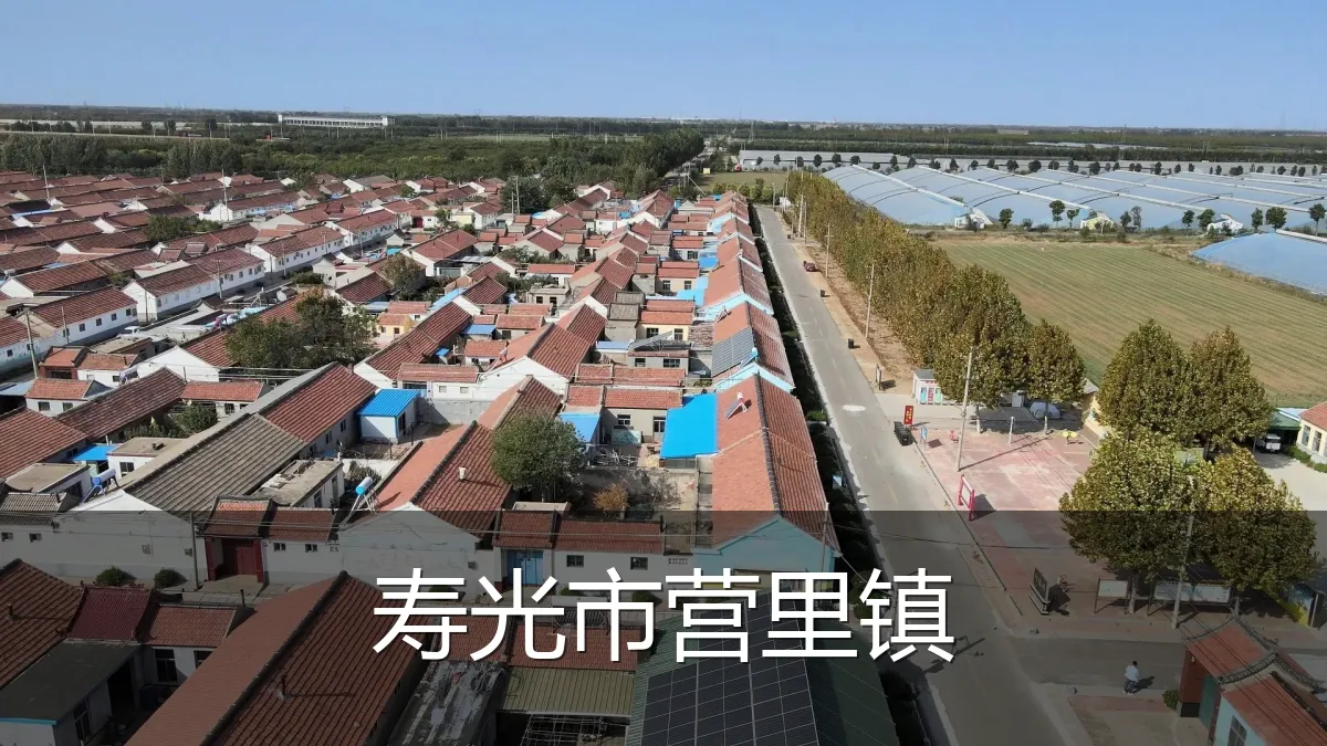 寿光市营里镇